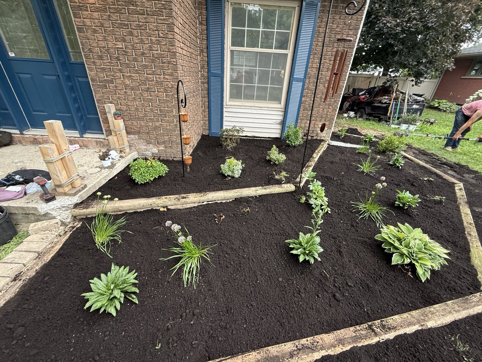Freshly built and planted garden beds
