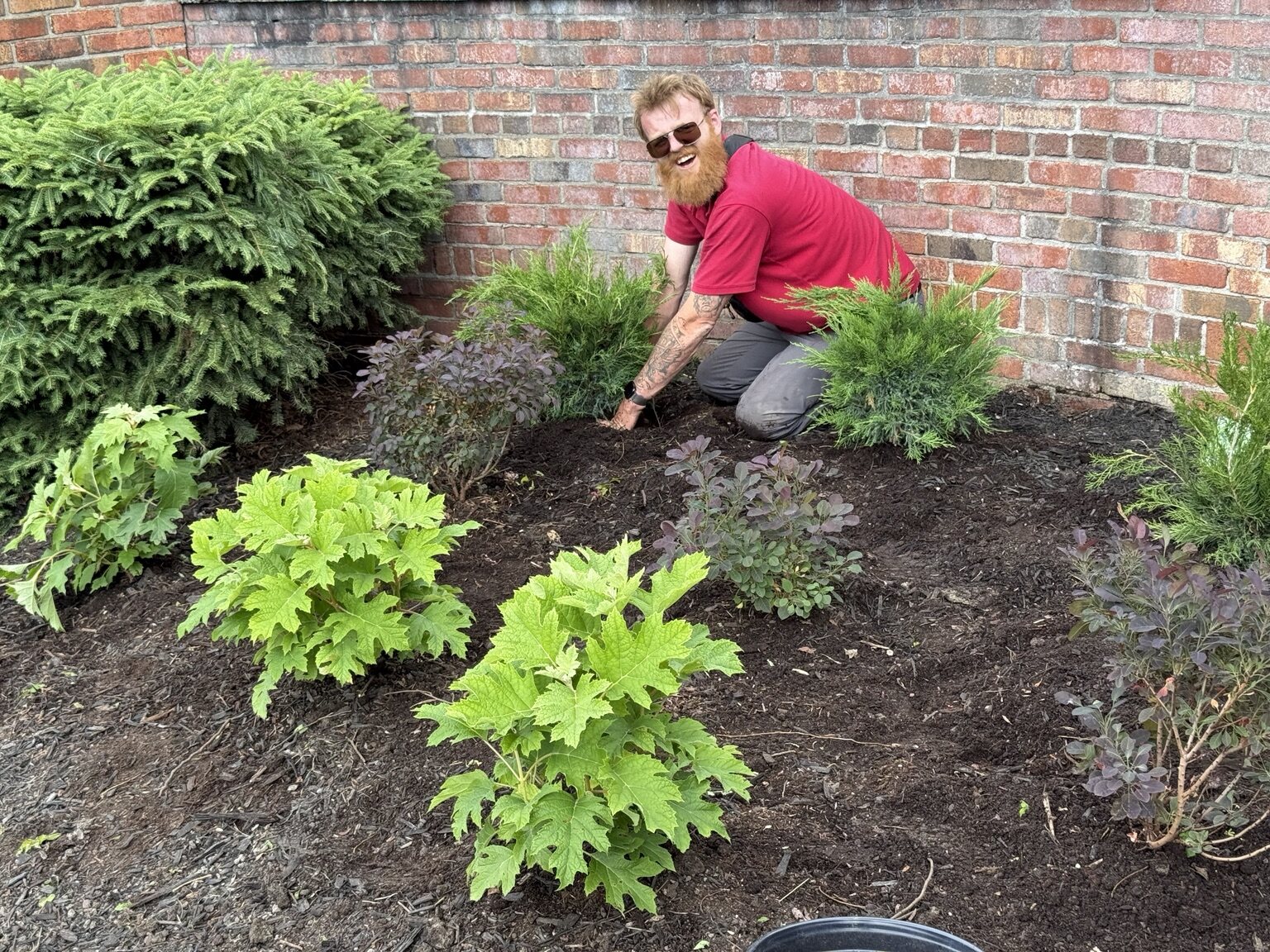 Phil finishing a newly planted and mulched garden bed